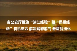 省公安厅推动“浦江经验”和“枫桥经验”有机结合 解决解释解气 矛盾纠纷化解在一线