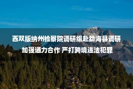 西双版纳州检察院调研组赴勐海县调研 加强通力合作 严打跨境违法犯罪