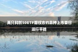 两只科创50ETF期权合约品种上市首日运行平稳