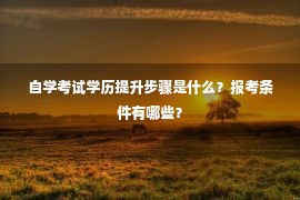 自学考试学历提升步骤是什么？报考条件有哪些？