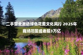 二手营业激动绿色花费文化风行 2025年商场范围或者超3万亿