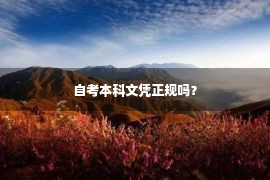 自考本科文凭正规吗？