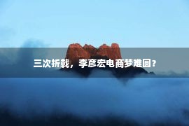 三次折戟，李彦宏电商梦难圆？