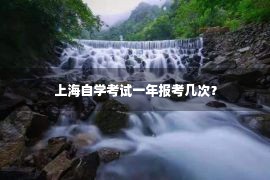 上海自学考试一年报考几次？