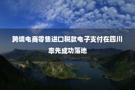 跨境电商零售进口税款电子支付在四川率先成功落地