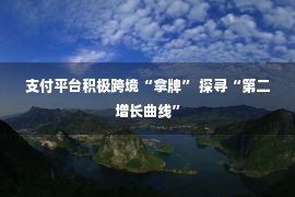 支付平台积极跨境“拿牌” 探寻“第二增长曲线”