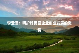 李云泽：呵护好民营企业创业发展的激情