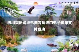 四川首份跨境电商零售进口电子税单支付成功