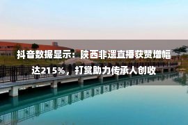 抖音数据显示：陕西非遗直播获赞增幅达215%，打赏助力传承人创收