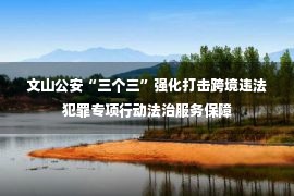 文山公安“三个三”强化打击跨境违法犯罪专项行动法治服务保障