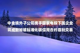 中金境外子公司携手国家电投下属企业完成新加坡标准化碳信用合约首批交易