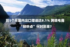 前5个月国内出口增速达8.1% 跨境电商“转折点”何时到来？