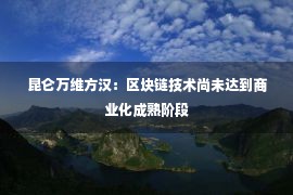 昆仑万维方汉：区块链技术尚未达到商业化成熟阶段