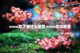 nmn吃了有什么感觉 nmn吃完感受