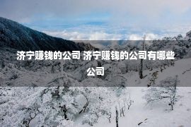 济宁赚钱的公司 济宁赚钱的公司有哪些公司