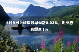 6月9日上证指数早盘涨0.03%，创业板指跌0.1%