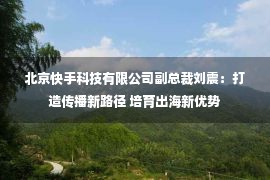 北京快手科技有限公司副总裁刘震：打造传播新路径 培育出海新优势