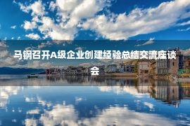 马钢召开A级企业创建经验总结交流座谈会