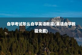 自学考试怎么自学英语教程(英语自学教程免费)