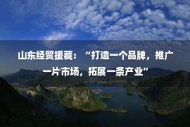 山东经贸援藏：“打造一个品牌，推广一片市场，拓展一条产业”