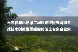 王忠林与出席第二届区块链服务网络全球技术创新发展峰会的院士专家企业家座谈