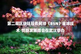 第二届区块链服务网络（BSN）全球技术  创新发展峰会在武汉举办