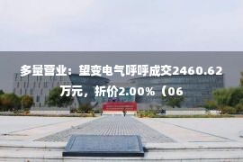 多量营业：望变电气呼呼成交2460.62万元，折价2.00%（06