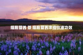 细胞营养 茶 细胞营养浓缩饮液功效