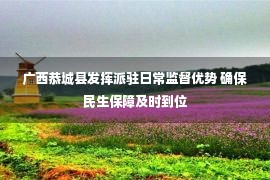 广西恭城县发挥派驻日常监督优势 确保民生保障及时到位