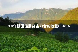 10年期国债期货主力合约收涨0.26%