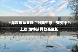 上海数据营业所“数商生态”效劳平台上线 加快哺育数商生长