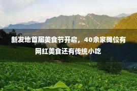 新发地首届美食节开启，40余家摊位有网红美食还有传统小吃