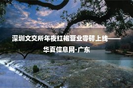 深圳文交所年夜红袍营业零碎上线——华夏信息网·广东