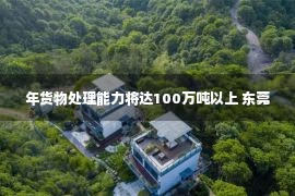 年货物处理能力将达100万吨以上 东莞