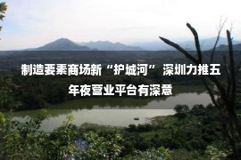 制造要素商场新“护城河” 深圳力推五年夜营业平台有深意