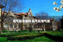 氢气标方条件 氢气标准气体