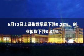 6月12日上证指数早盘下跌0.28%，创业板指下跌0.01%