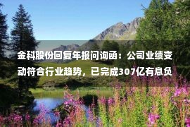 金科股份回复年报问询函：公司业绩变动符合行业趋势，已完成307亿有息负债期限调整工作