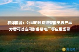 林洋能源：公司的区块链智能电表产品方案可以应用到虚拟电厂等应用场景