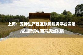 上海：支持生产性互联网服务平台发展 推进跨境电商高质量发展