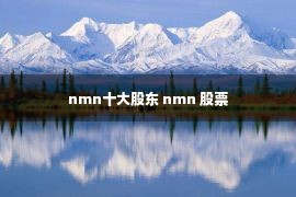 nmn十大股东 nmn 股票