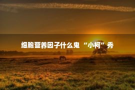 细胞营养因子什么鬼 “小柯”秀