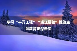 学习“千万工程”“浦江经验”推动主题教育走深走实