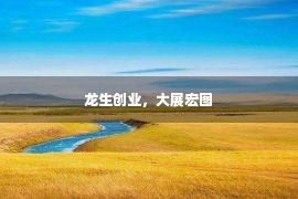 龙生创业，大展宏图