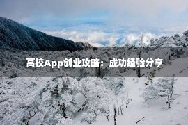 高校App创业攻略：成功经验分享