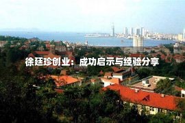 徐廷珍创业：成功启示与经验分享