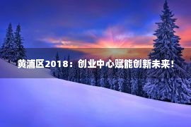 黄浦区2018：创业中心赋能创新未来！