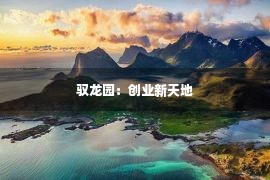 驭龙园：创业新天地