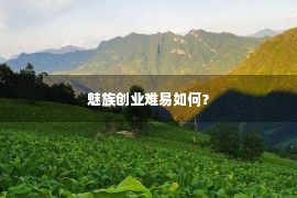 魅族创业难易如何？