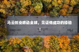 马云创业感动全球，见证他成功的经验！